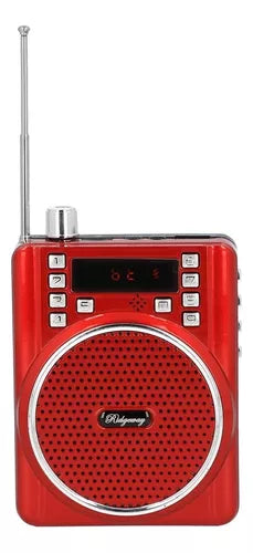 MEGAFONO MULTIFUNCION BUYTITI WKS-204